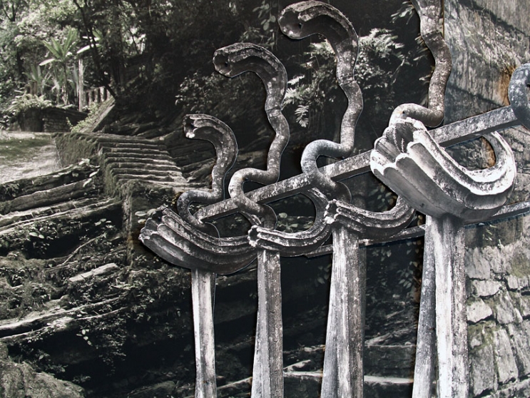 https://u.mirunadragan.com/files/gimgs/th-6_IMG_2470_Xilitla_W.jpg