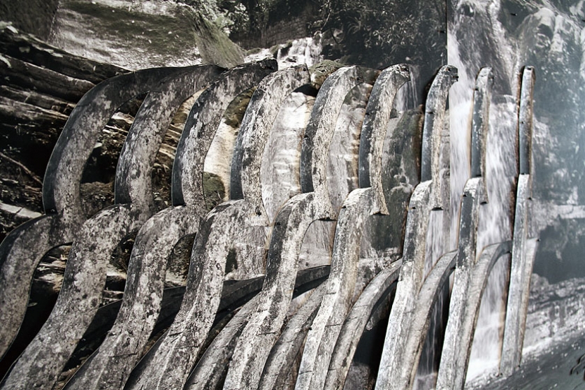 https://u.mirunadragan.com/files/gimgs/th-6_IMG_2473_Xilitla_W.jpg